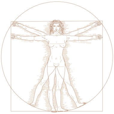 Vitruvian woman clipart