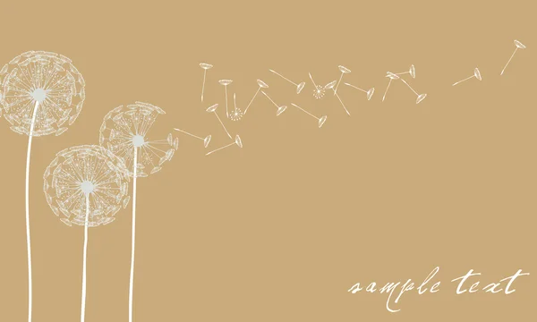 Elegant dandelion background — Stock Vector