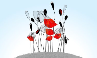 Beautiful poppies illustration clipart