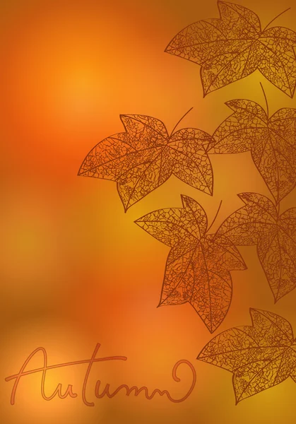 Beautiful autumn illustration — Stock Vector