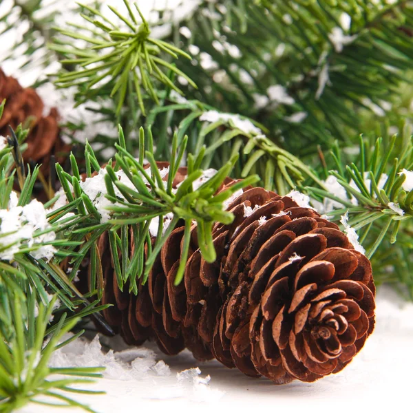 Kegel und Weihnachtsbaum isoliert auf weiß — Stockfoto