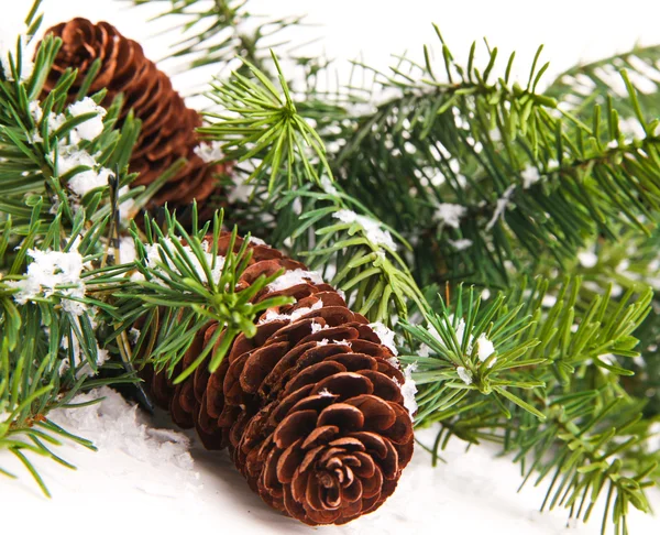 白に孤立したコーンとクリスマスツリー — ストック写真