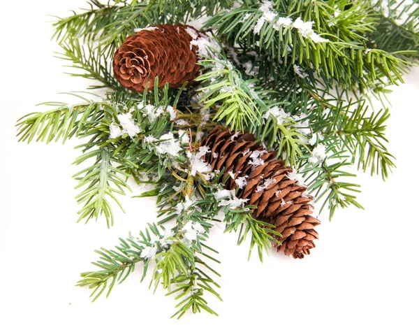 Cono y árbol de Navidad aislados en blanco —  Fotos de Stock