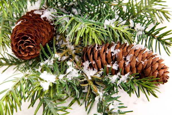 Kloon en kerstboom geïsoleerd op wit — Stockfoto