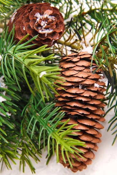Cono e albero di Natale isolato su bianco — Foto Stock
