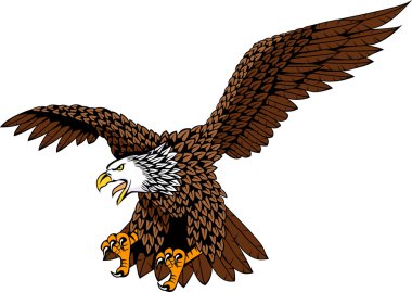 Eagle bird clipart