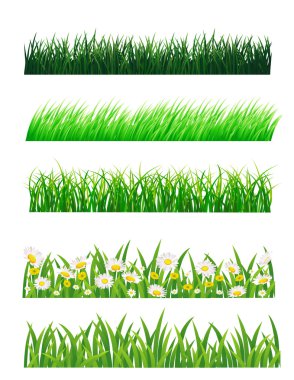 Grass vector collection clipart