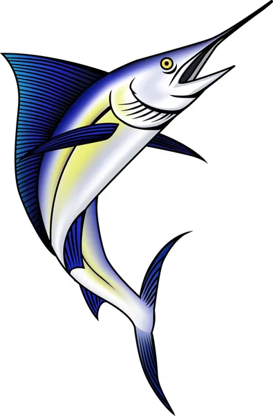 Marlínů modrých ryb ilustrace — Stockový vektor