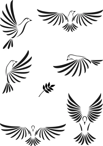 Volo della colomba — Vettoriale Stock
