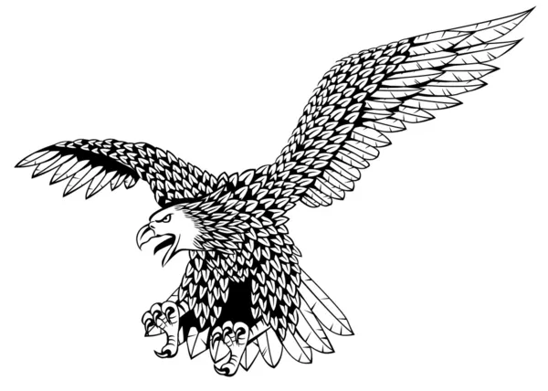 Eagle fågel — Stock vektor