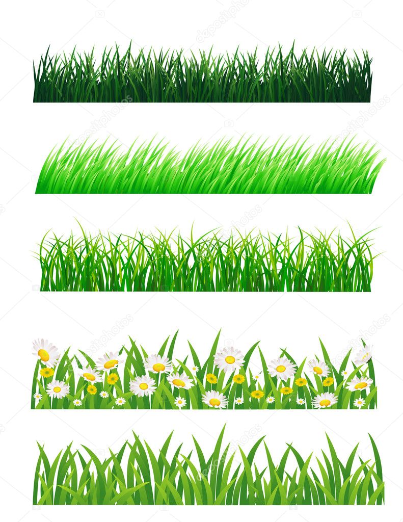 Grass vector collection