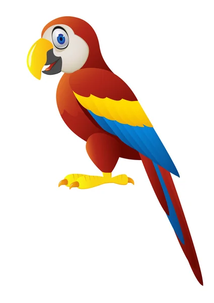 分離されたコンゴウインコ鳥 — ストックベクタ