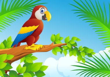 Macaw cartoon clipart