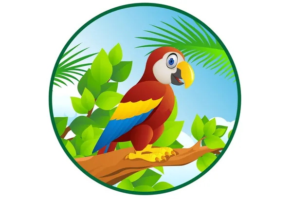 Macaw cartoon — Stock Vector