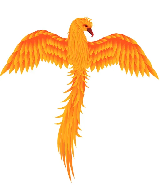 Pássaro Phoenix —  Vetores de Stock