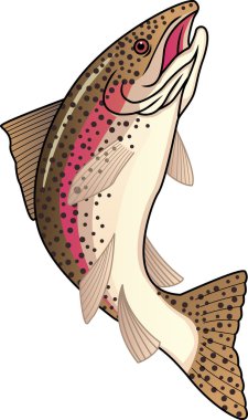 Trout fish clipart