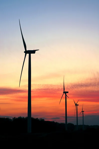 Windpark bei Sonnenuntergang — Stockfoto