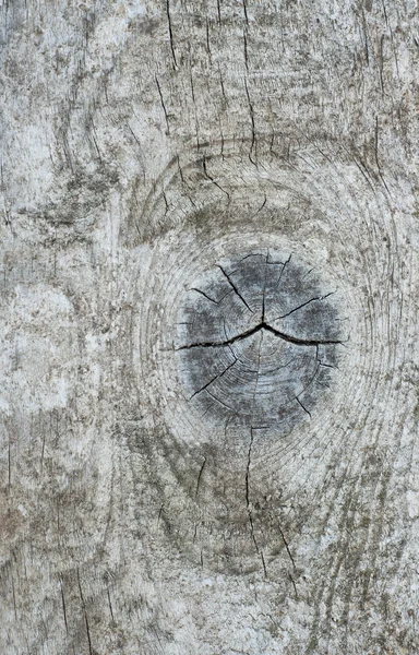 高品質の木製の背景 — ストック写真