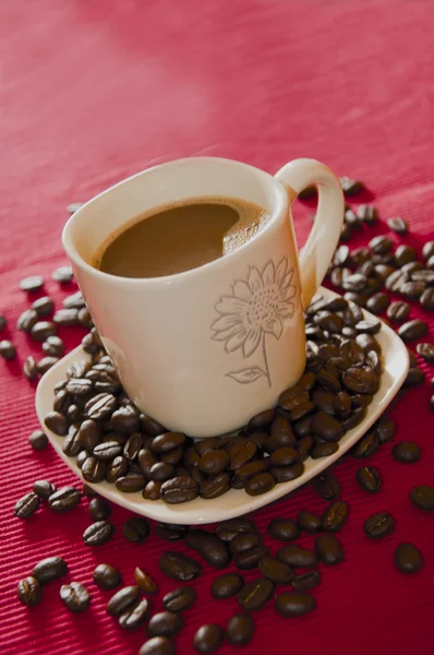 Cucciolo di caffè — Foto Stock