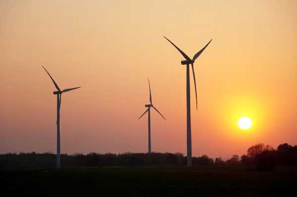 Windpark bij zonsondergang — Stockfoto