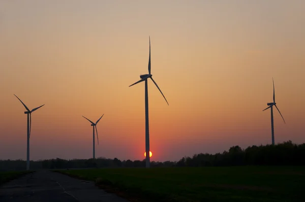 stock image Wind farm at sunset