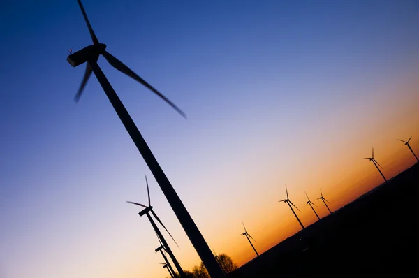 Wind farm at sunset — Stock Photo, Image