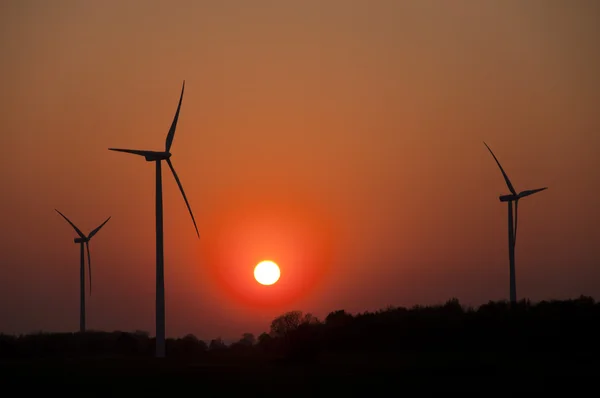 stock image Wind farm at sunset
