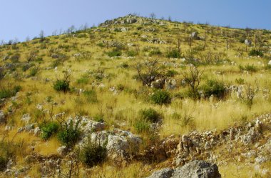 zakynthos adada Hill afer orman yangını