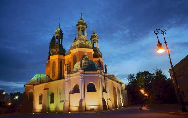 stock image Archicathedral Basilica of St. Peter and St. Paul by night