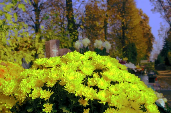 Flowers on cemetery at All Saints' Day — Stock Photo, Image