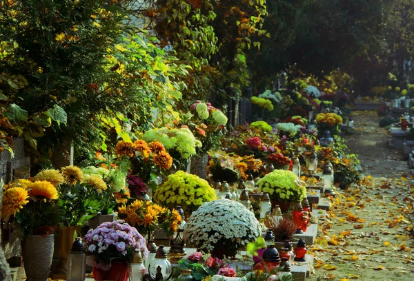Kwiaty na cmentarzu w dzień wszystkich świętych — Zdjęcie stockowe