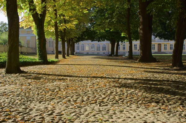 Lane in palace garden in Rogalin — Stock Photo, Image