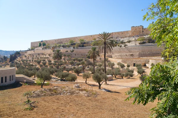 Jeruzsálem régi város, a kilátást az olajfák hegyén — Stock Fotó