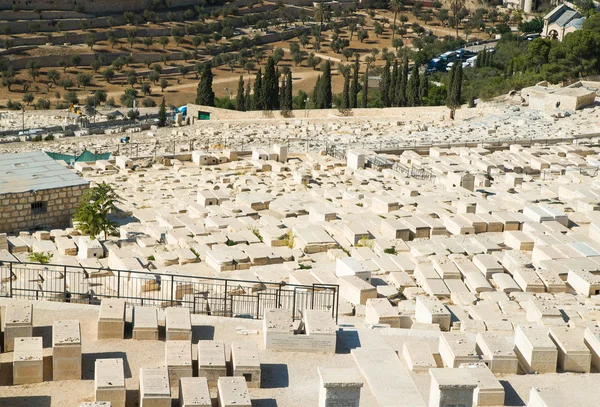 Régi temető hegyén Jeruzsálemben — Stock Fotó