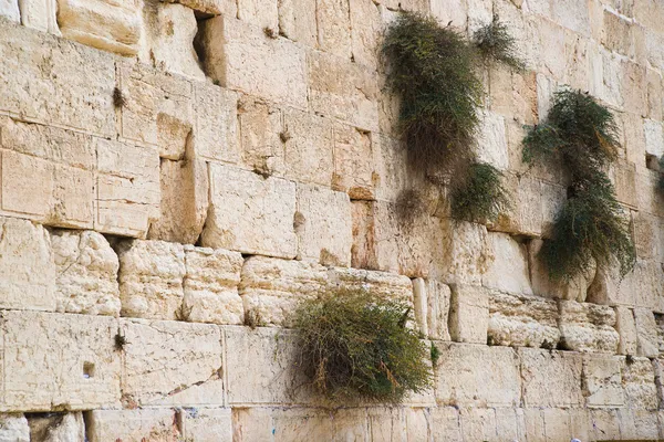 Закрыть западную стену. Иерусалим. Израиль . — стоковое фото