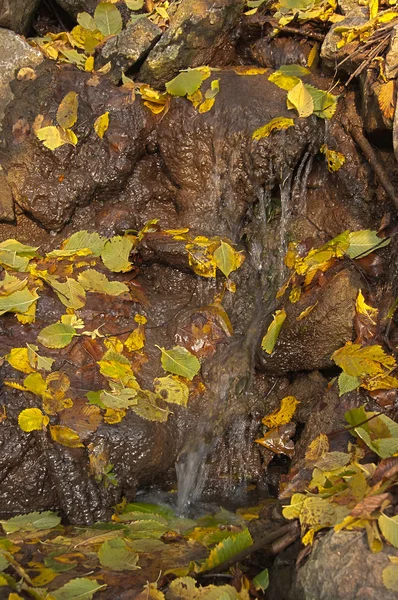Малый ручей водопад осенью с желтыми листьями — стоковое фото