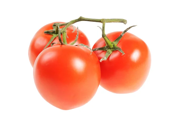 トマトの束 — ストック写真