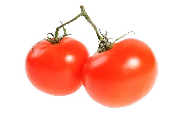 Dos tomates. — Foto de Stock