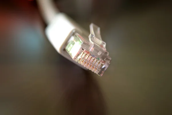 Kabel Jaringan — Stok Foto