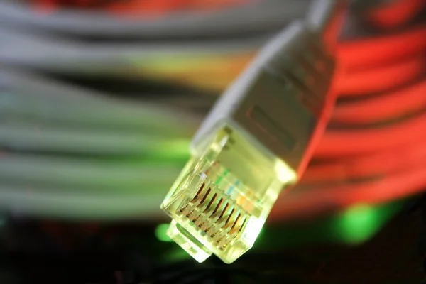 Network Cable — Stock Photo, Image