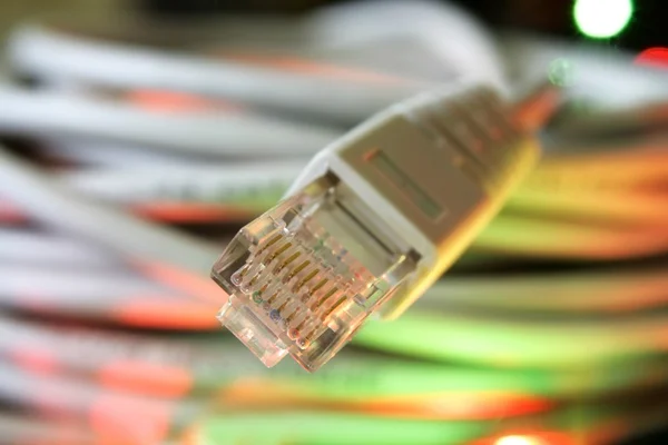 Network Cable — Stock Photo, Image