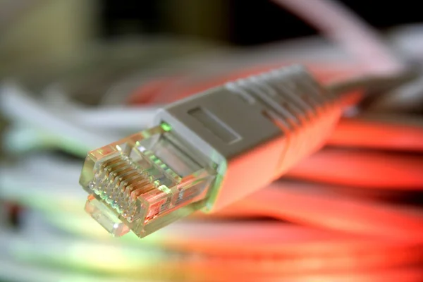 Cable de red — Foto de Stock