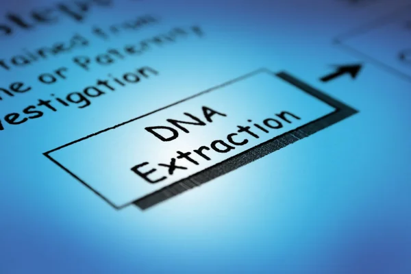 Extraction d'ADN — Photo