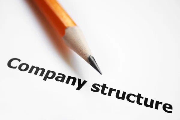COmpany structure — Stock Photo, Image