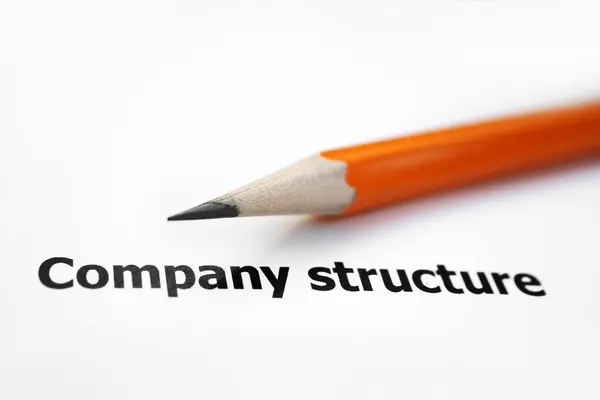 COmpany structure — Stock Photo, Image