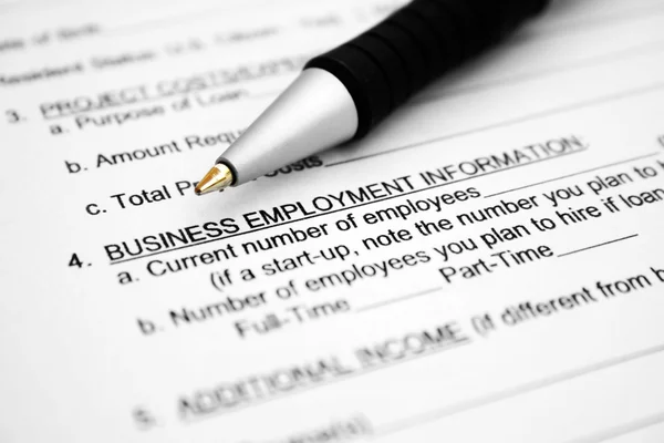 Business employment form — Stock Photo, Image