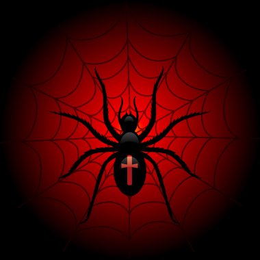 Spider on the web clipart