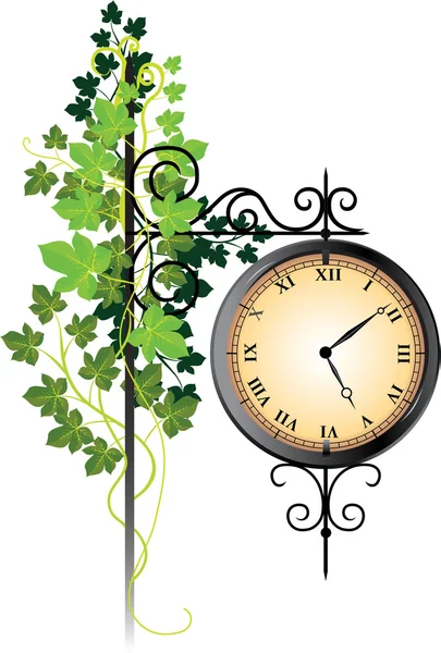 Street clock braided with ivy — Stock Vector