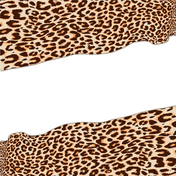 Leopard texture — Stock Vector