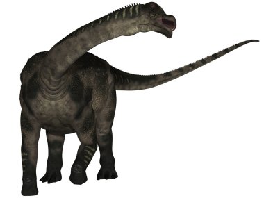 antarctosaurus - 3d dinazor